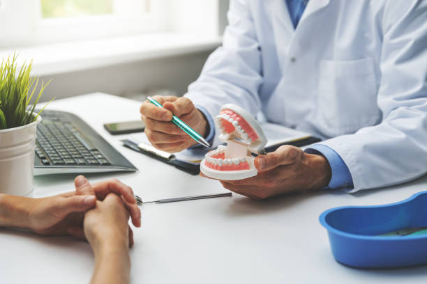 Best Preventive Dentistry  in Garland, UT