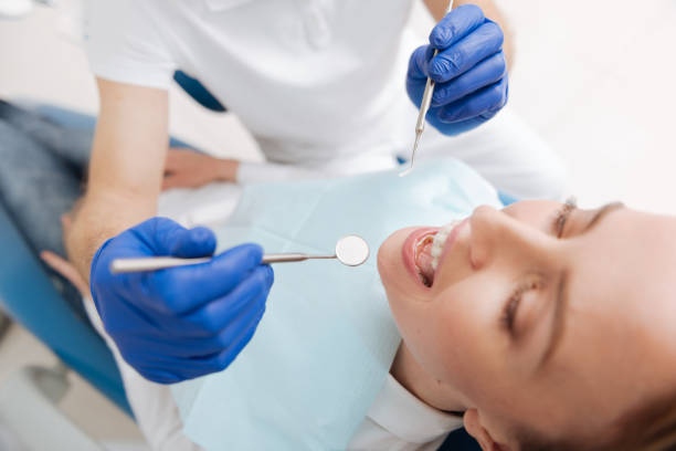 Professional  Holistic Dental Services in Garland, UT